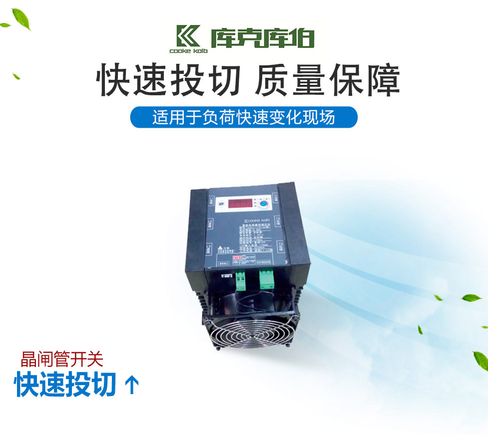 庫克庫伯晶閘管開關